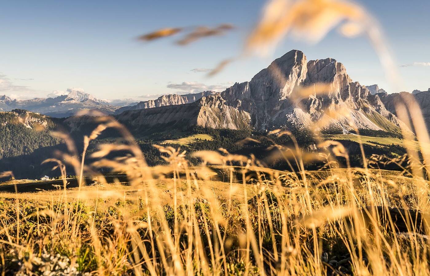 Wanderung zur Gampenalm (Forstweg) 