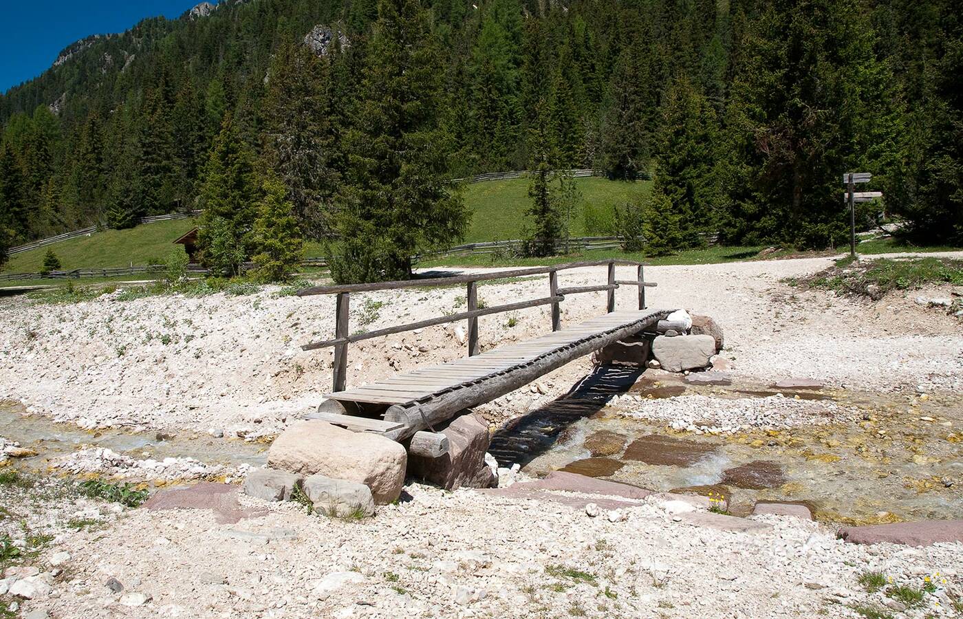 Wanderung zur Gampenalm (Forstweg) 